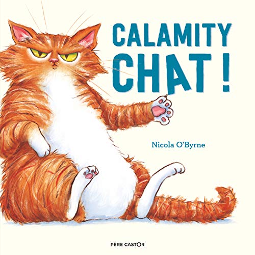 Calamity cat !